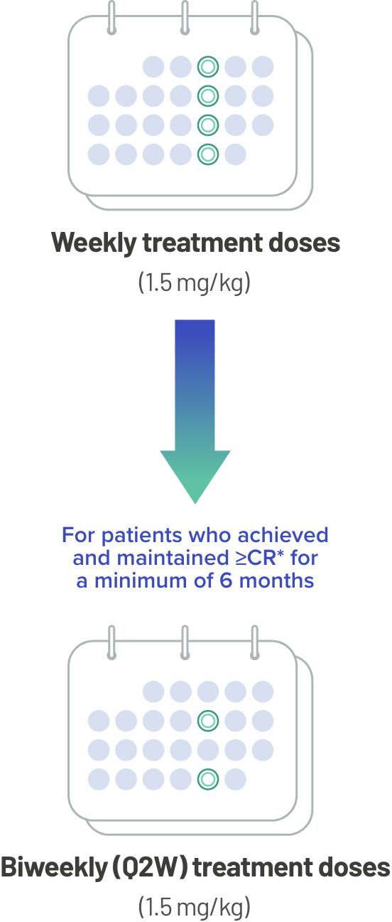 Two calendars that show a treatment being done every week to every other week, with the text: For patients who achieved and maintained >=CR* for a minimum of 6 month